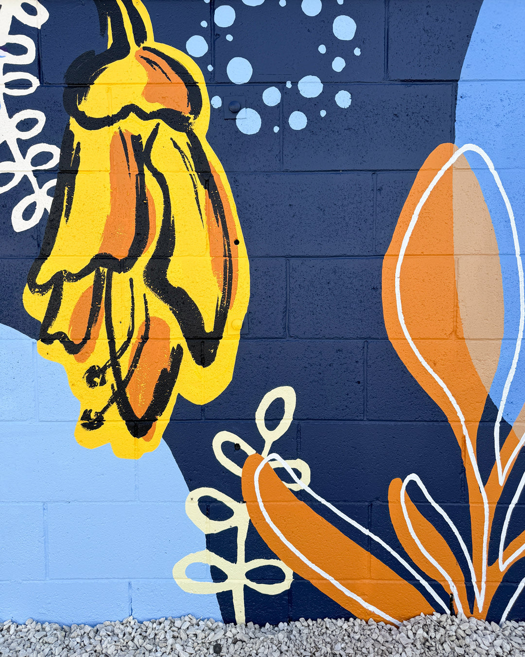 Tauranga Special School Mural