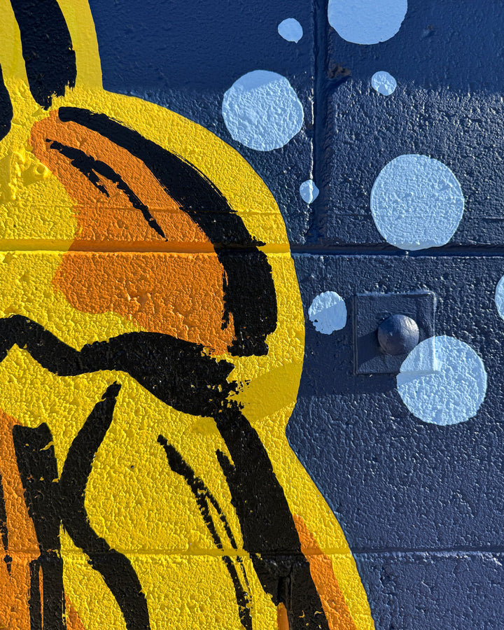 Tauranga Special School Mural