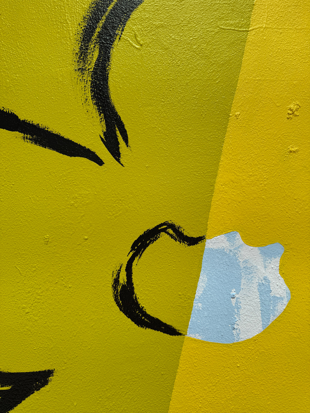 Tauranga Street Art Festival - Exterior Mural