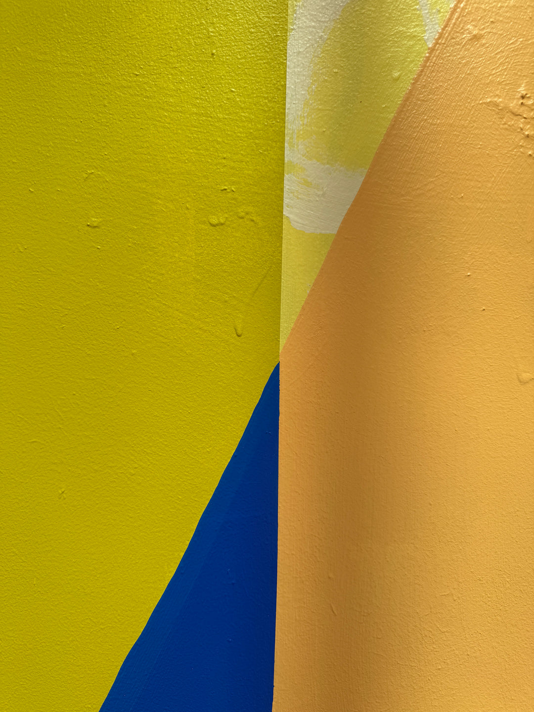 Tauranga Street Art Festival - Exterior Mural